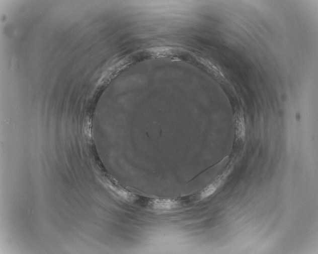 X0000070400766200607072244