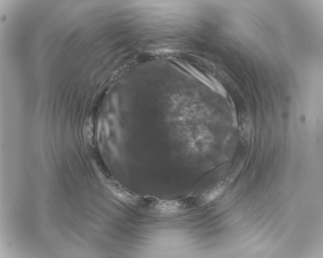 X0000070400767200607072244