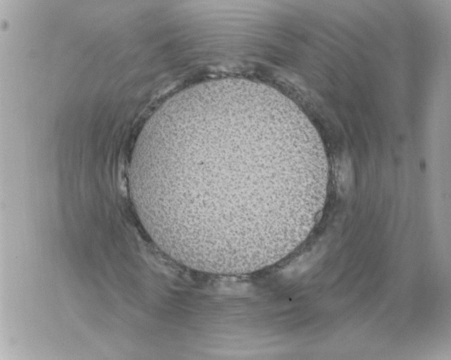 X0000070400770200607072243