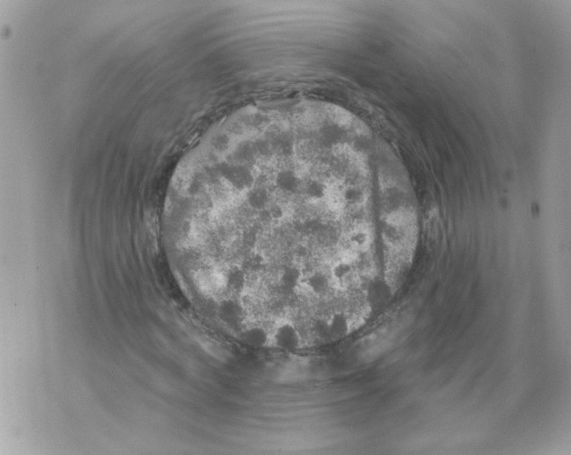 X0000070400772200607072243