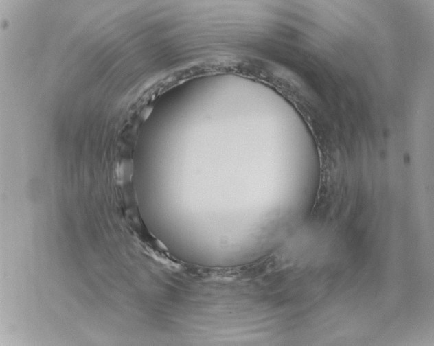 X0000070400773200607072243