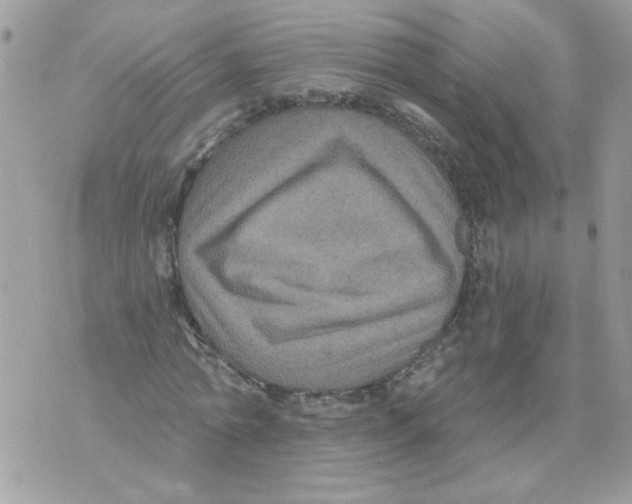 X0000070400774200607072243