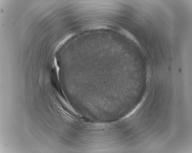 X0000070400777200607072243