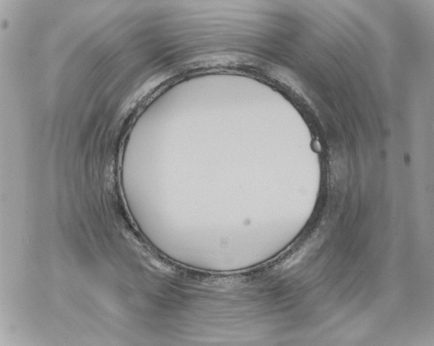 X0000070400778200607072243