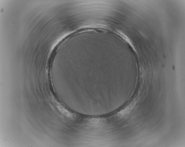 X0000070400779200607072243