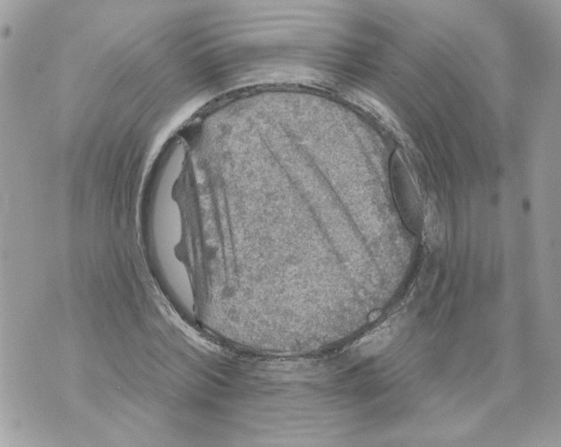 X0000070400780200607072243