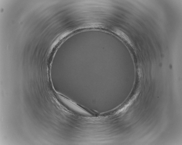 X0000070400781200607072243