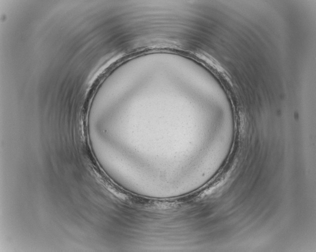 X0000070400782200607072243