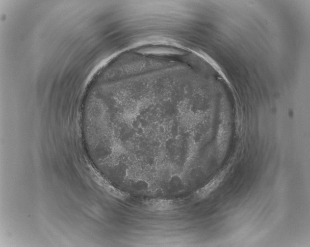 X0000070400783200607072243