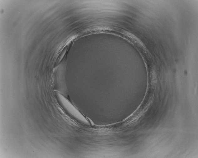 X0000070400785200607072243