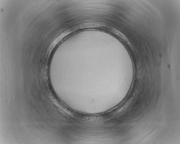 X0000070400786200607072243