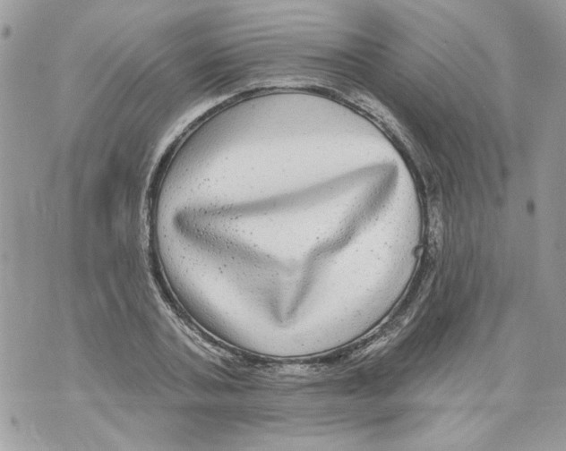 X0000070400787200607072243