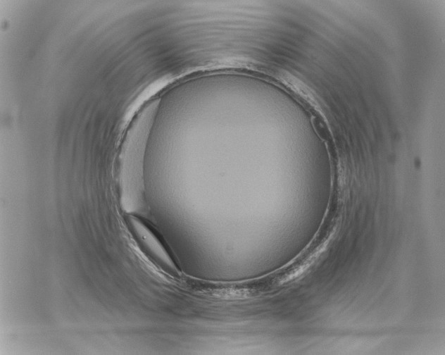 X0000070400789200607072243