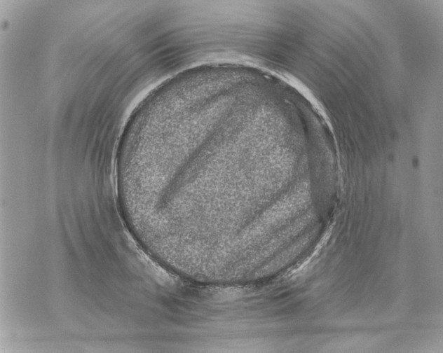 X0000070400791200607072243