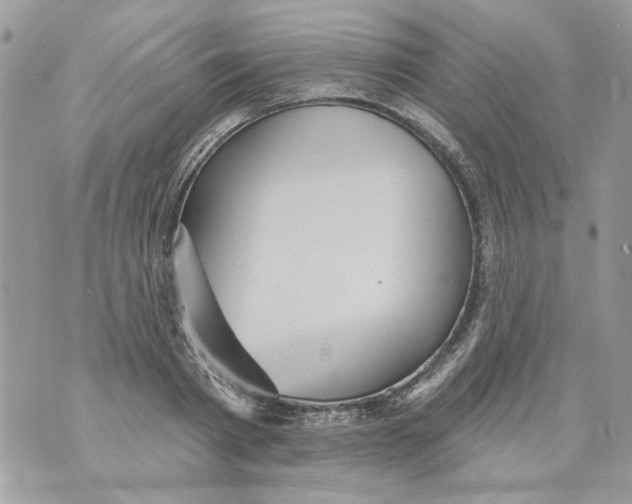 X0000070400793200607072243