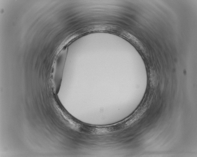 X0000070400794200607072243