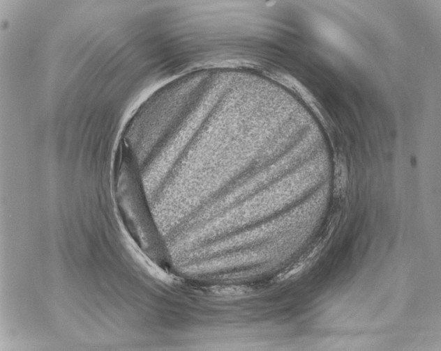 X0000070400795200607072243