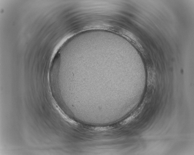 X0000070400796200607072243