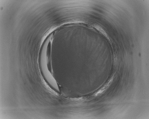 X0000070400797200607072243