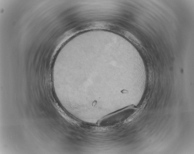 X0000070400800200607072243