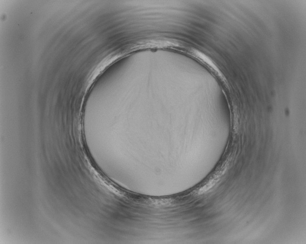 X0000070400802200607072243