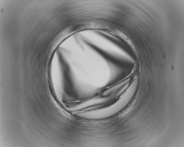 X0000070400803200607072243