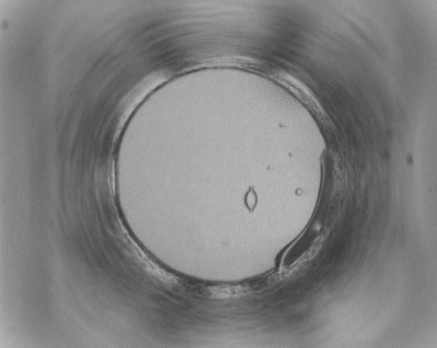 X0000070400804200607072243