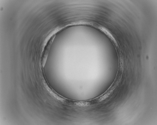 X0000070400805200607072243