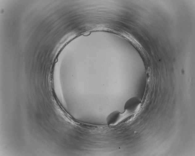 X0000070400806200607072243