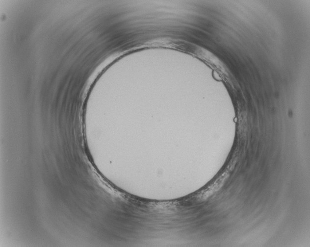 X0000070400808200607072243