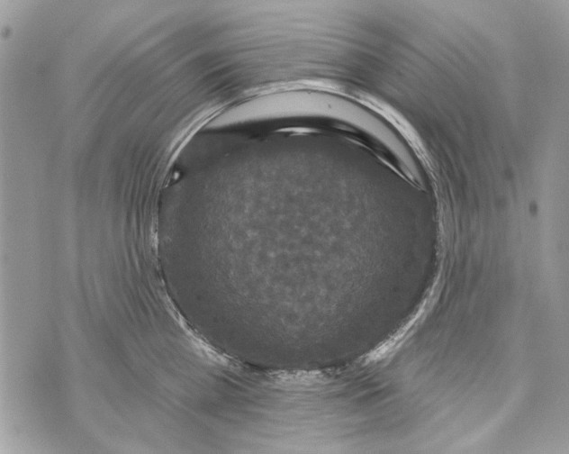 X0000070400809200607072242