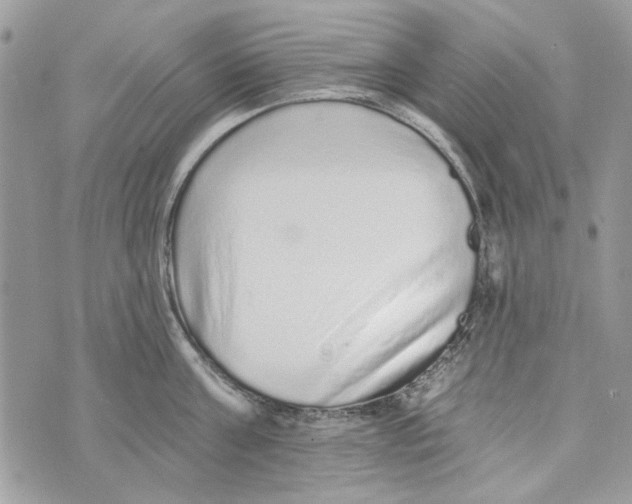 X0000070400811200607072242