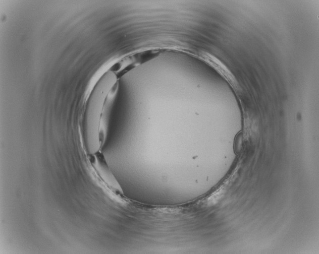 X0000070400812200607072242