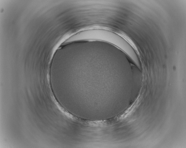 X0000070400813200607072242