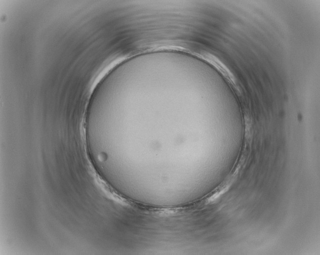 X0000070400814200607072242