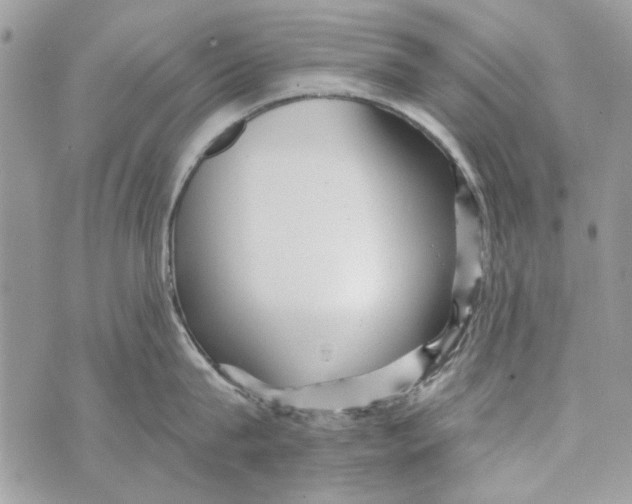 X0000070400815200607072242