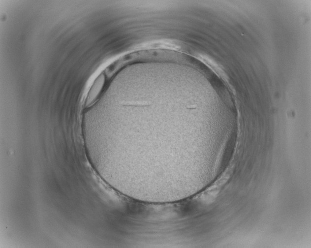 X0000070400816200607072242