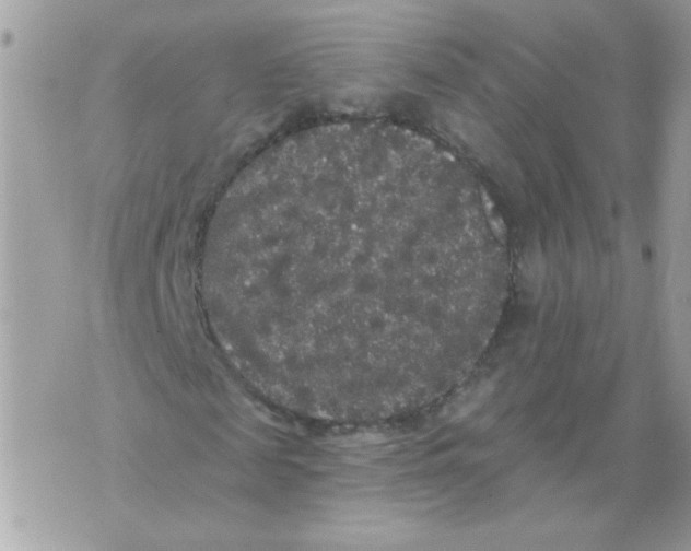 X0000070400817200607072242