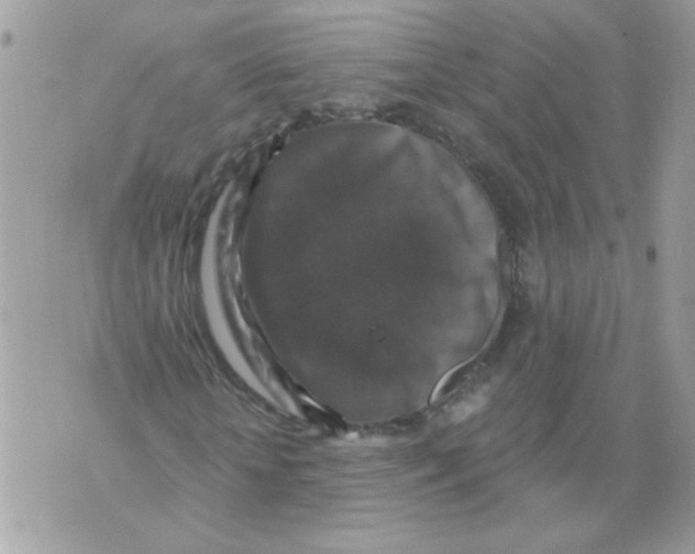 X0000070400818200607072242