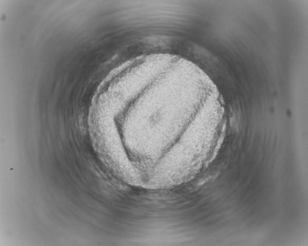 X0000070400819200607072242