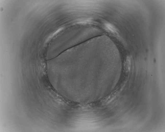 X0000070400822200607072242