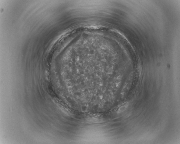 X0000070400823200607072242