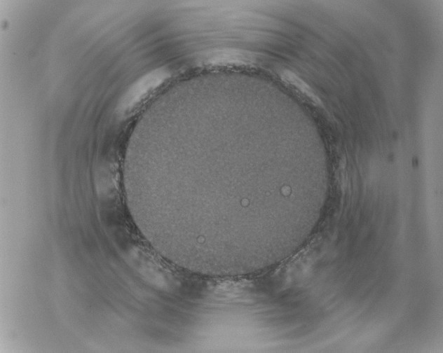 X0000070400824200607072242