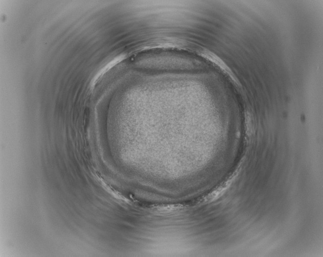 X0000070400826200607072242