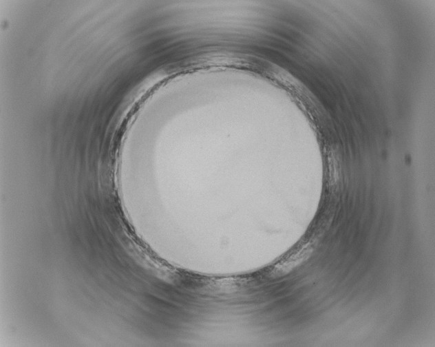 X0000070400828200607072242