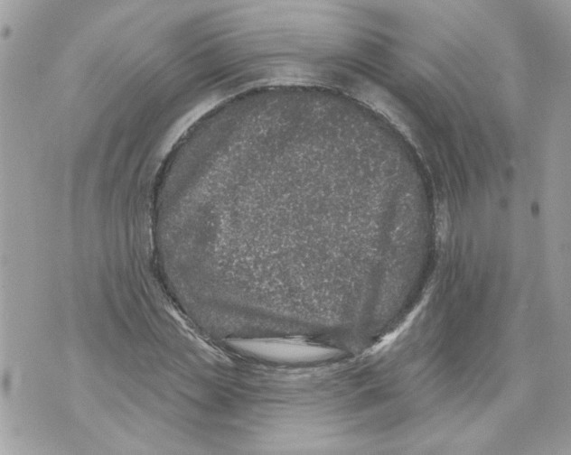 X0000070400829200607072242