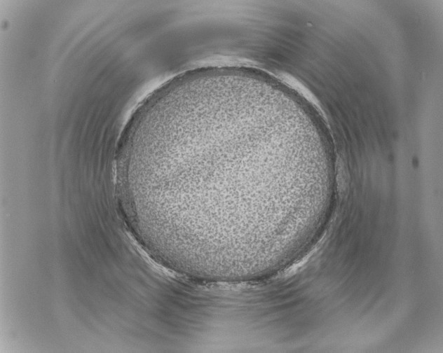 X0000070400831200607072242