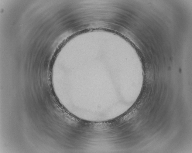 X0000070400832200607072242