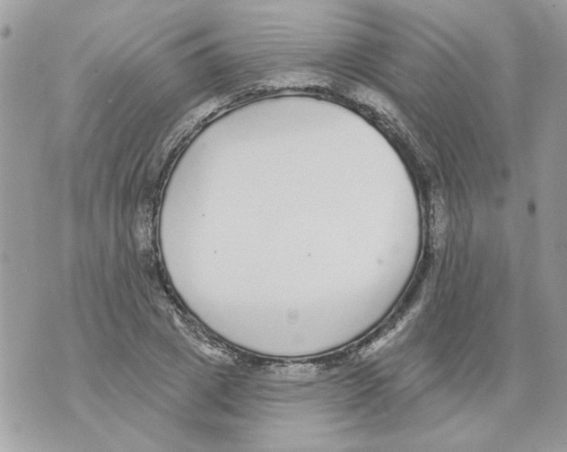 X0000070400833200607072242