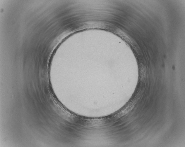 X0000070400836200607072242